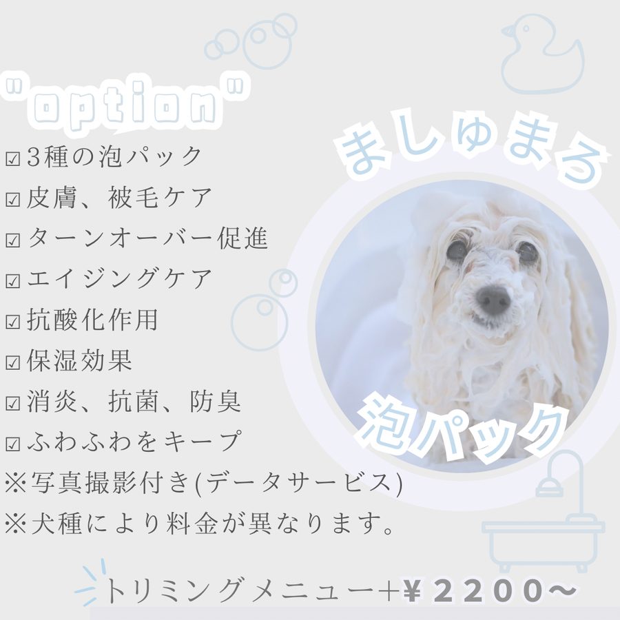 ましゅまろ泡パック：3種の泡パック、皮膚被毛ケア、ターンオーバー促進、エイジングケアなど。トリミングメニュー+2,200円〜